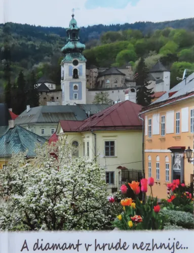 Kniha: A diamant v hrude nezhnije