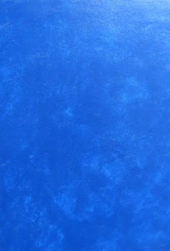 Kniha: Štiavnické noviny 2006