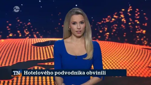 Hotelový podvodník