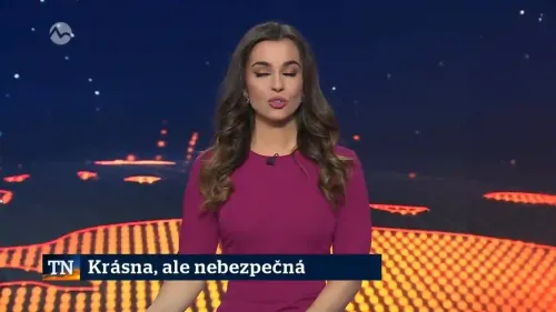 Modrý chrobák vo Svätom Antone