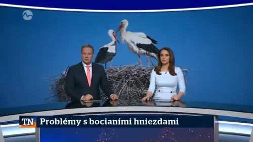 Problémy s bocianími hniezdami