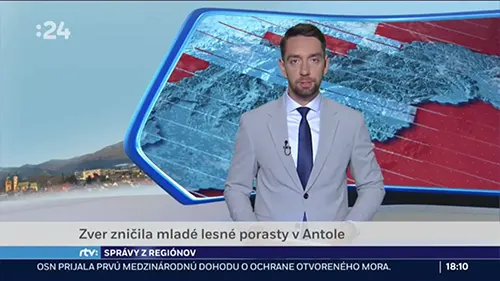Lesná zver zničila porast v Antole