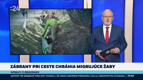 Zábrany pri ceste chránia migrujúce žaby
