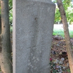 Daniel Grillus