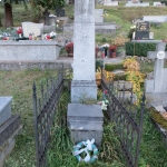 Ronay Ferencz