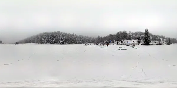 Klinger - kúpanie ľadových medveďov